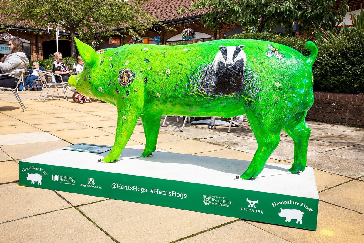BasingstokeGov's tweet photo. The #HantsHogs are being auctioned off for charity today from 6.30pm. Did you have a favourite hog? Here's your chance to take it home!
Visit: https://t.co/aupGBGS9Ri https://t.co/6D44o37es3