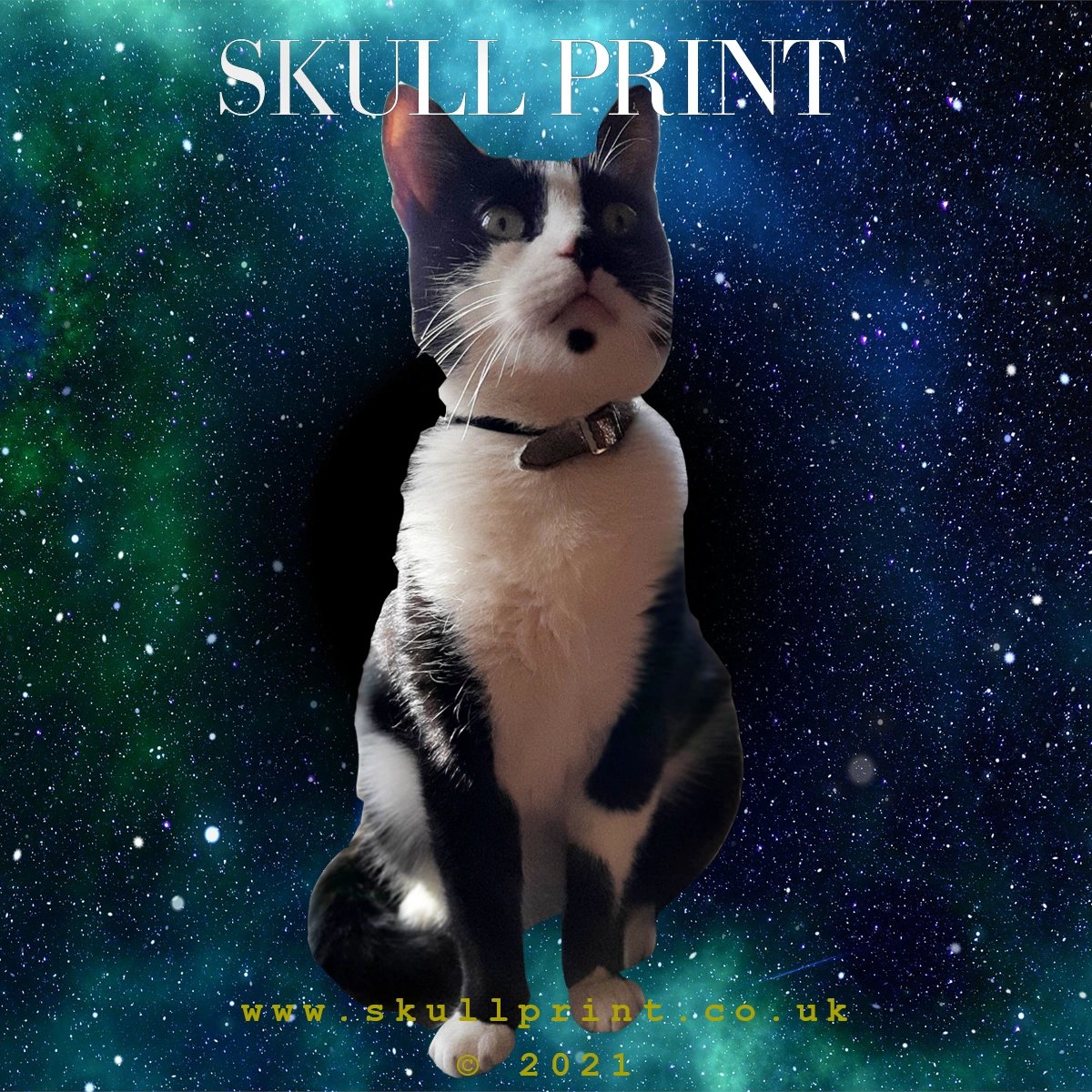 SkullPrint3's tweet photo. 5 FOR 4 ACROSS ALL T-SHIRTS β οΈβ οΈβ οΈ
Just order 4 tees and tell us your 5th choice in the checkout 'Special Instructions'. Ends November 30th - Get Christmas sorted at Skull Print π₯π₯π₯
https://t.co/V7Q2uunZ1T
#tshirt #tshirts #5for4 #deal #gifts #xmas #christmasgifts https://t.co/634JFhvsa9