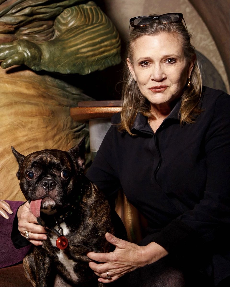 sw_holocron's tweet photo. Happy birthday to the one and only Carrie Fisher.

Our Princess and General was born on this day in 1956. May the Force be with you, always. https://t.co/mXAxigL0r5