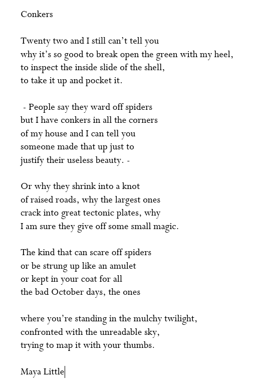 What are conkers for? And are they allowed to be in a poem? Two profound questions raised in my poetry zoom and answered by Maya.