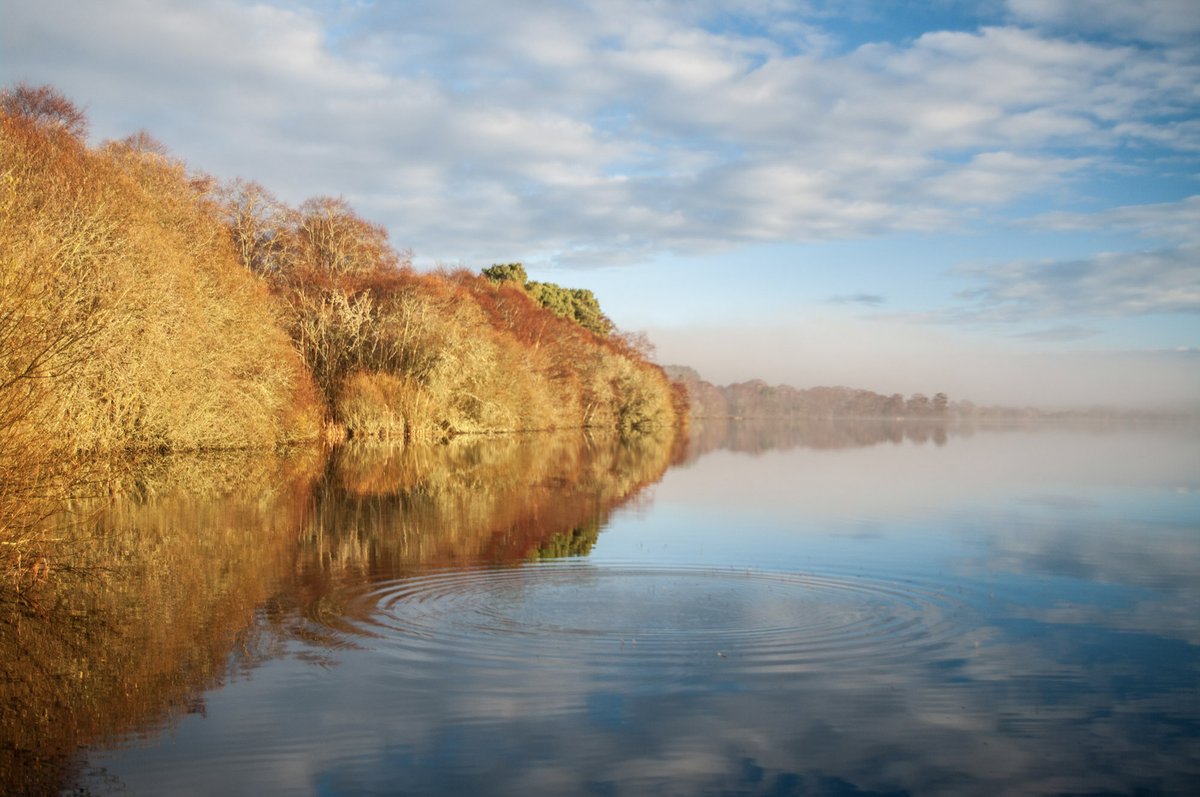 Autumn on the Peninsula is a perfect combination of colours from gold to orange to green and yellow.  Nature is open all year round here. It is a haven for explorers! 📸 Lorraine Mann #easterrosspeninsula #autumn #easterross #scotlandiscalling #scottishlochs #scotland