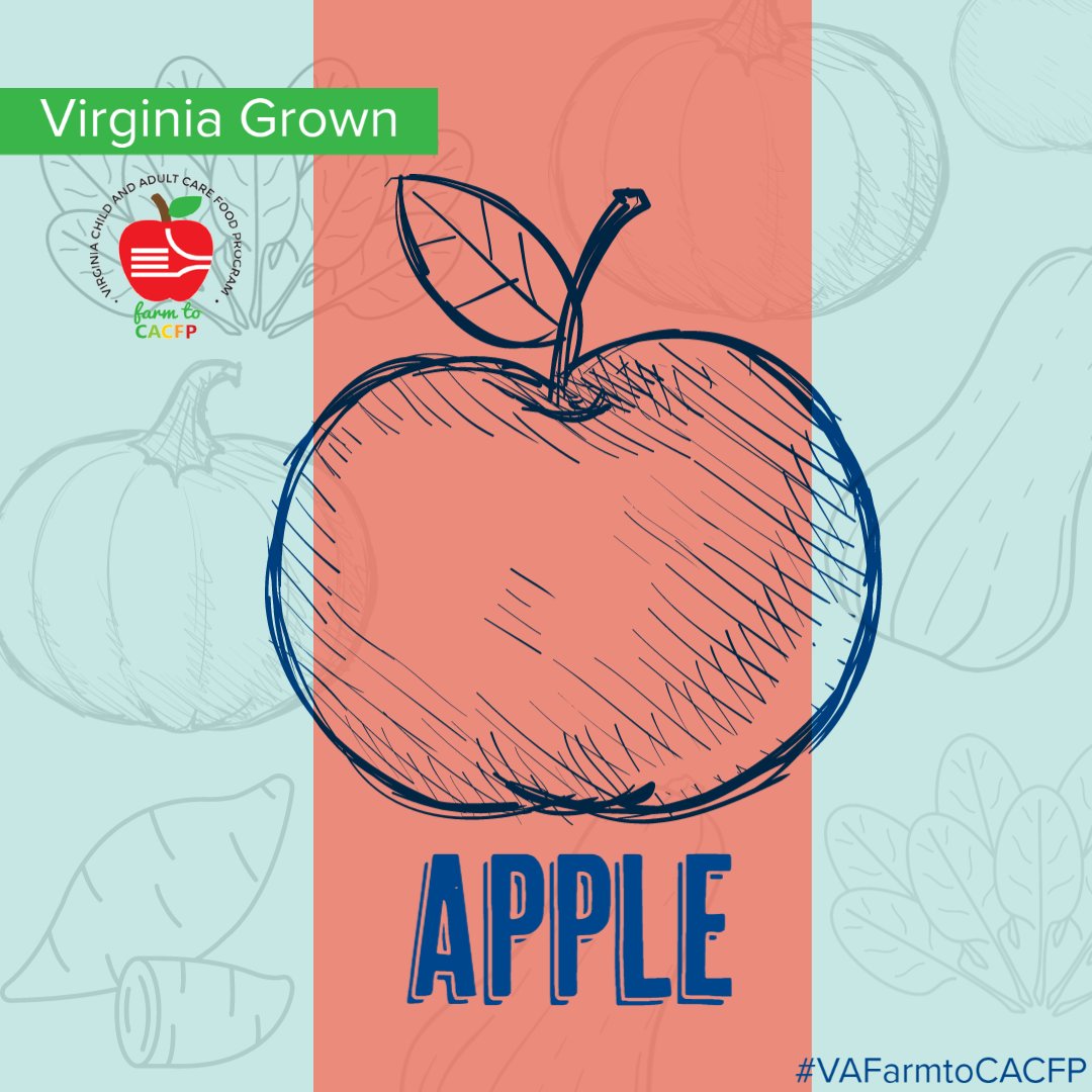 CACFPVirginia's tweet photo. Today we’re crunching on apples! Did you know that Virginia is the sixth largest apple producing state in the country? Full of fiber and flavor, apples are such a great easy snack. Share your apple adventures using #VAFarmToCACFP https://t.co/GLEMP8ydMI