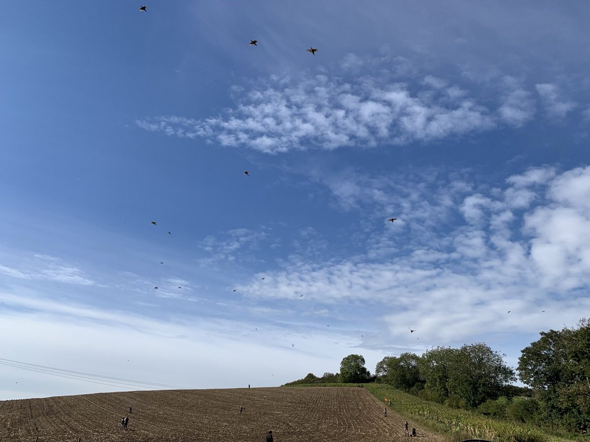 mathew_rivers's tweet photo. MapleDurham https://t.co/M9uNy6jaNR