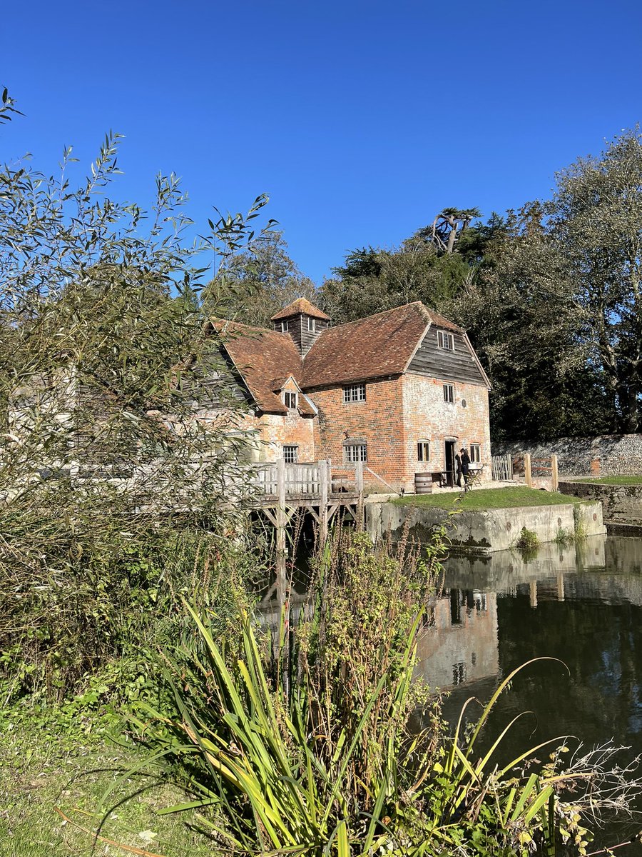 mathew_rivers's tweet photo. MapleDurham https://t.co/M9uNy6jaNR