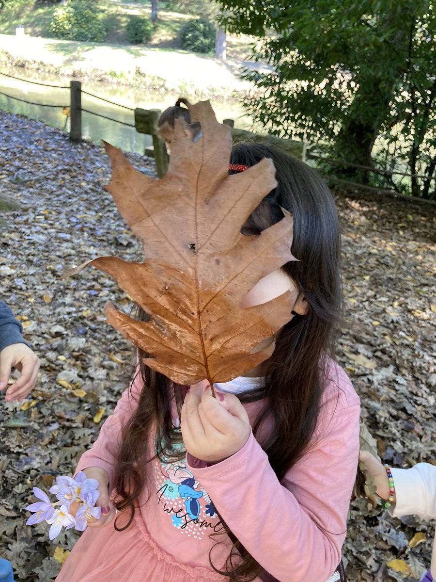 cekulegitim's tweet photo. Zeytinburnu Nuri Paşa İlkokulu Okul Öncesi grubu ile Atatürk Arboretumunda Doğadan Öğreniyorum atölyesinde, gördük, merak ettik, inceledik, keşfettik. #dogada #cekul #doğalmiras #doğaeğitimi #ekoloji https://t.co/cv9laiknAe