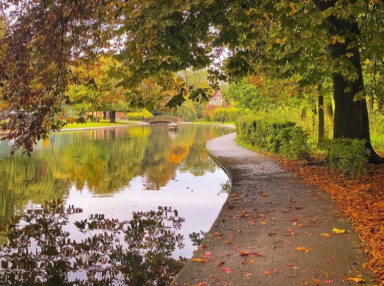 Fr_RowntreePark's tweet photo. It’s our AGM tonight. All members and volunteers welcome. Find out what we are all about, what we want to do and how you may be able to help! There will be biscuits! (7pm at the cafe) @bishyroadnet #friendsofparks image yorkiesteve from insta. https://t.co/42LKZWOJEF