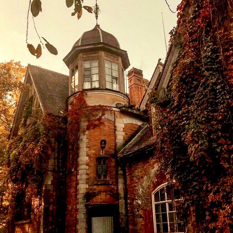 ⠀

  —— #13DAYSOFRP ⇝ AUTUMN

                   autumnn shows us
         how lovely is to let DEAD things
                             go . . .
⠀
⠀