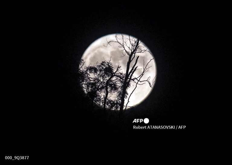 REPUBLIC OF NORTH MACEDONIA
A full moon is rising through the branches of a tree in Skopje.
📸 <a href="/RAtanasovski/">Robert Atanasovski</a> #AFP