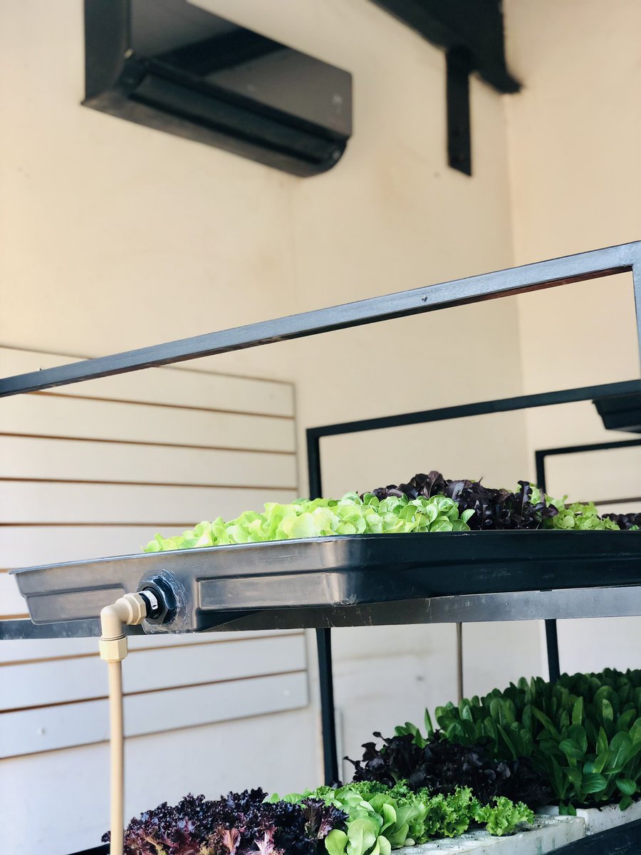 LGSouthAfrica's tweet photo. LG Air-conditioners assist in controlling the temperature where the hydroponic pods are built. 

#LGAgritekLaunch #LGCares #SocialDevelopment https://t.co/POcwR3Lx3j