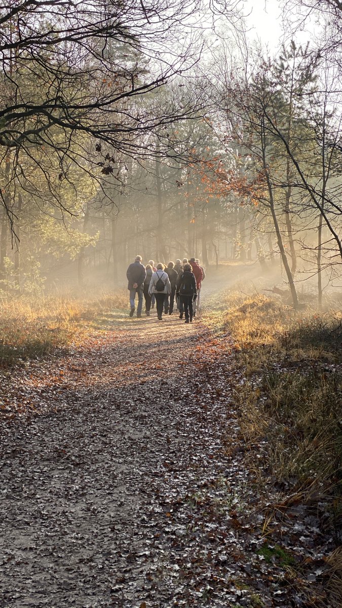 Donderdag 18 november organiseren wij een informatiebijeenkomst voor een nieuw te starten wandelgroep. Deze wandelgroep is voor iedereen die 10-15 km in de <a href="/Gem_Renkum/">Gemeente Renkum</a> wil wandelen. 

Meer informatie en aanmelden 👉🏼 sportenbeweegteamrenkum.nl/wandelaars-gez…
