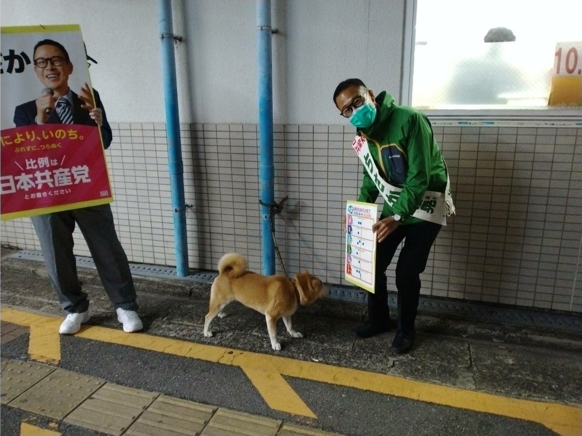 りつみん 立命館大学民青同盟 Rits Min Twitter