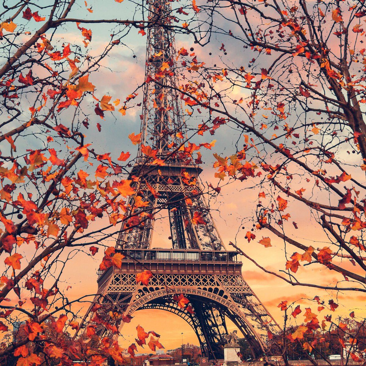 TurismocityBR's tweet photo. 😍Um destino que nunca sai de moda: Paris!🗼🇫🇷
💭Sonhando com uma tarde com croissant em frente a Torre Eiffel. Quem você levaria com você?
#Paris #Viagem #DicasdeViagem #BlogdeViagem #Europa https://t.co/TKy7CWTzOi