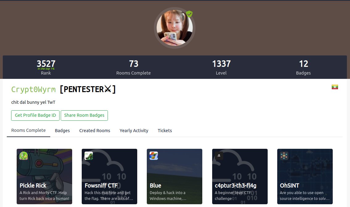 Crypt0Wyrm's tweet photo. Just got the Pentester Title. No #infosec activity for quite a while. 
#tryhackme #JrPentester https://t.co/JN5wO4Ftsf