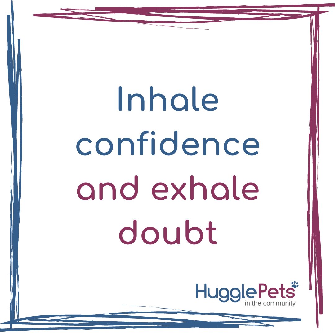 HugglePetsCIC's tweet photo. This Monday's positive affirmation!
If you want to try a breathing technique, I recommend this one!!
#positivemind #positivevibes #positiveenergy #mondaymotivaton #positivemondays #hugyourcommunityπ https://t.co/ldhkUallD6