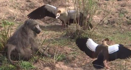 Deadpoule tweet media