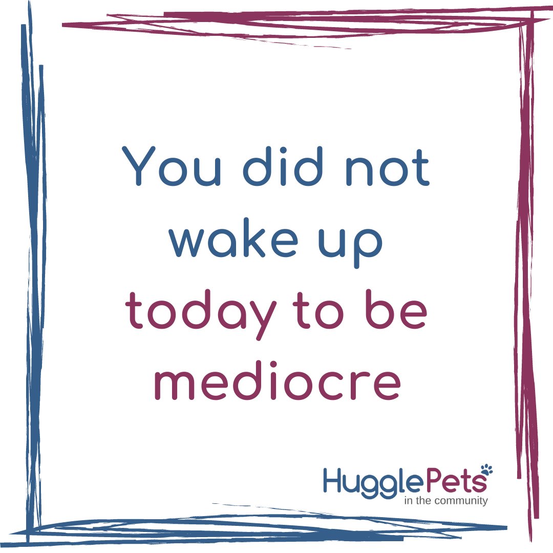 HugglePetsCIC's tweet photo. This Monday's positive affirmation!
You are AMAZING never mediocre! Go and have a great day everyone!
#positivemind #positivevibes #positiveenergy #mondaymotivaton #positivemondays #hugyourcommunity https://t.co/XLQBIPO5Sp