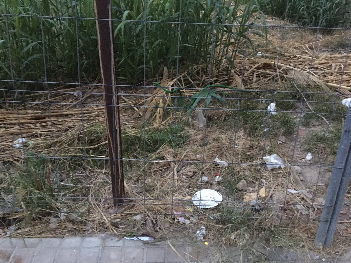 Tu también piensas que Valencia huele mal y está sucia? Pues denuncia subiendo fotos de las calles de tu barrio, basuras y demás “merdas”! Per una Valéncia neta ja!!! Fotos calle Velazquez Nou Moles <a href="/joanribo/">Joan Ribó</a> <a href="/UnaValenciaNeta/">オフサイド王子23⚽</a> <a href="/AjuntamentVLC/">Ajuntament València</a> <a href="/ValenciaNetaVLC/">ValenciaNetaVLC</a>