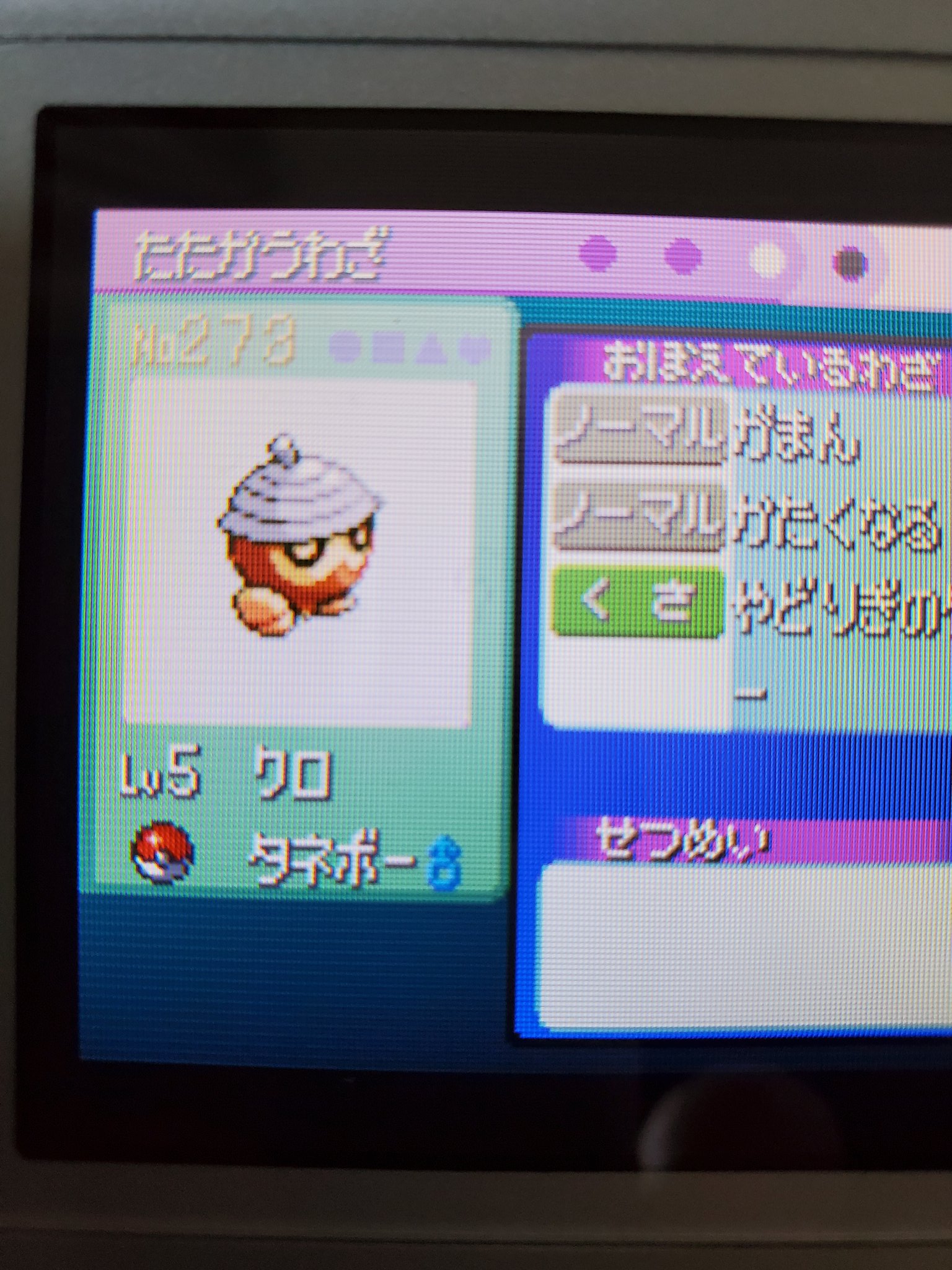 あかかめ Qersdkmqad1w9dt Twitter