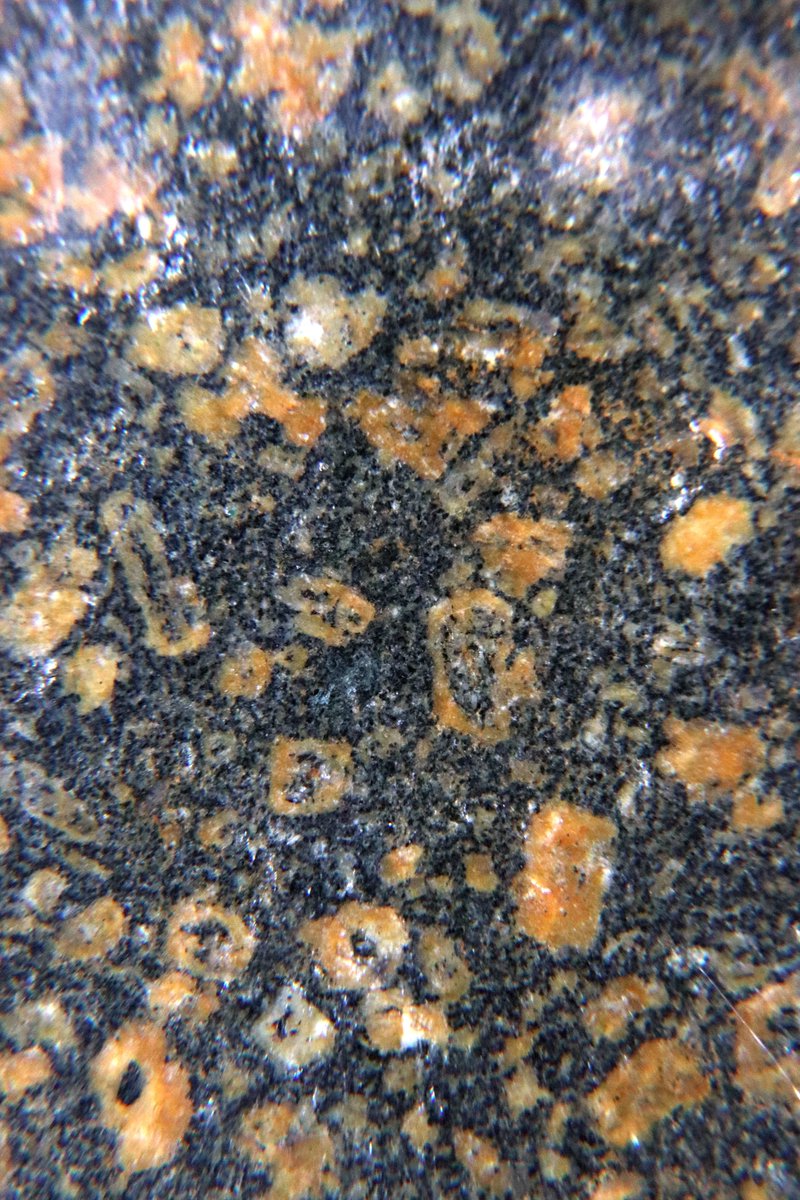 #SussexErratics #WorthingBeach Someones been eating my feldspars!
