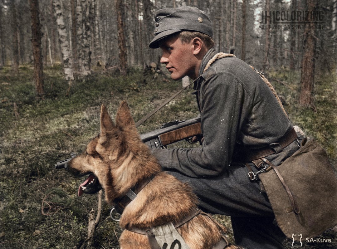 Sotilas partiokoiran kanssa Ölkyn tukikohdassa Luvajärven kylän alueella, 25.6.1944.
•••
A Finnish soldier with his war dog at the Field base 'Ölkky' in the Luvajärvi village, June 25, 1944. [sa-kuva] #sotakoira #jatkosota