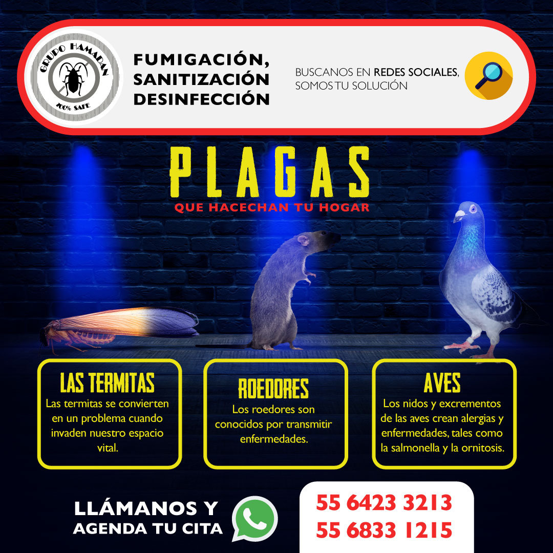 HamadanCv's tweet image. Top 10 plagas en casa.
Comenzaremos con estas 3  plagas más frecuentes en casa para ayudarle a identificar los indicios de plagas en cualquiera de las habitaciones de su casa.

#GrupoHamadan #ControlDePlagas #cucarachas #ratones #chinches #arañas #hormigas #alacranes #mosquitos