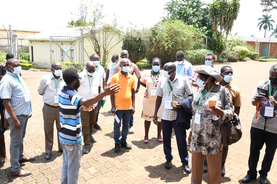 NaroKawanda's tweet photo. Today a delegation of #agricultural scientists from across #Africa are on a benchmaking visit to @NaroKawanda. 
The visit organised by @ASARECA is aimed at building capacity in the areas #BANANA #Postharvesthandling #Cereavalueaddition #Biotechnology #Mechanisation #TIMPS https://t.co/nZ919CSelv