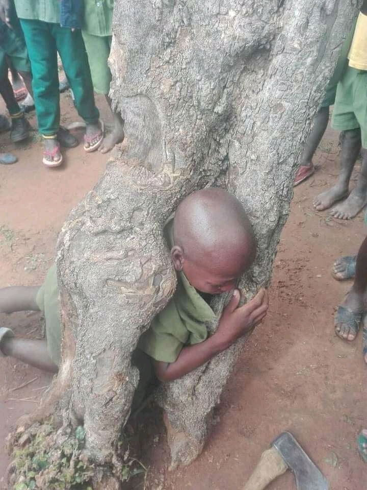 VMagede's tweet image. Finally 😋😋Azopinda zvake mukomana After such a long struggle