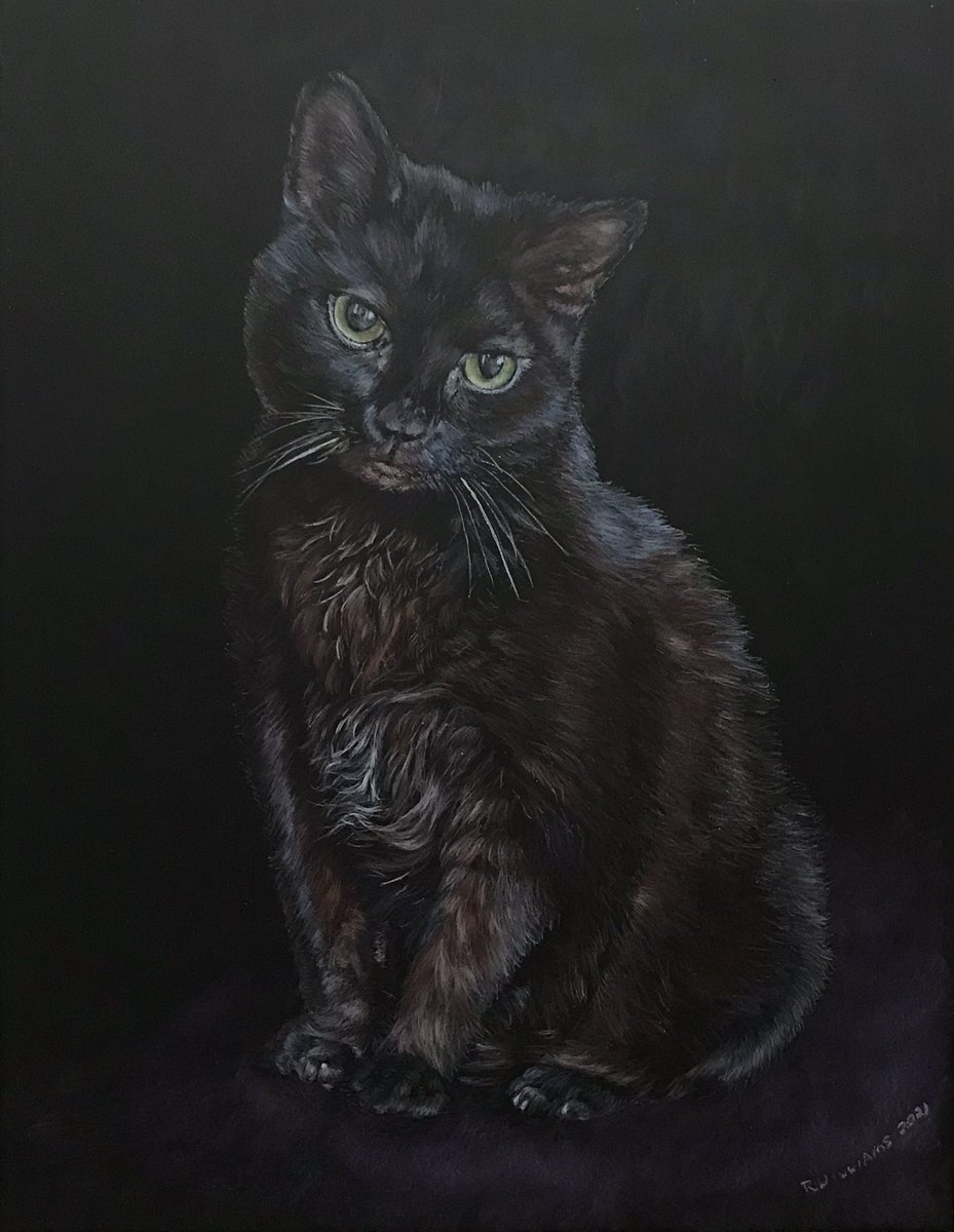 Memorial drawing of my husband’s favorite kitty… “Natasha Grace”