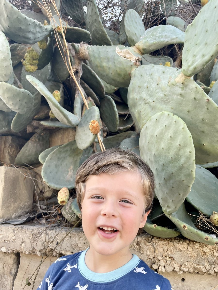 elaineboland17's tweet photo. H Practicing P. Paddling in sea, Posing with Pricky Pears, Picking olives & Posting words @TranbyReception #alphabetweek Pp https://t.co/5glFbkxXdM