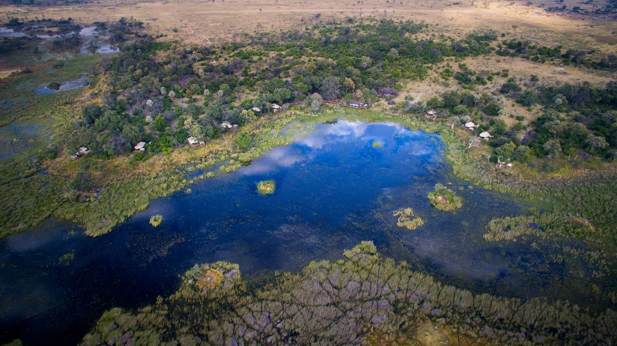 andbeyondtravel's tweet photo. What lies beyond 30 years? A bold intention to scale the influence of our impact from 9 to 50 million acres, and to create shared value with the communities surrounding those areas in which we operate.
Read more ๐https://t.co/n9sEMAx4hX
#seewhatliesbeyond #andbeyondimpact https://t.co/KsAjjTNEcM