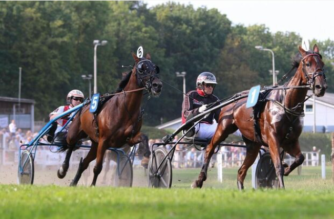 Op 18 augustus en 10 september kon er eindelijk weer gekoerst worden op de baan in Emmeloord. Mede dankzij het steunpakket Corona en Sport kon het eerdere gecancelde evenement nu succesvol doorgaan. Meer hierover en andere Flevolandse voorbeelden? 👉  ow.ly/1tTt50Gokfc