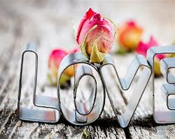 Dung Le (@dungle44869265) on Twitter photo 