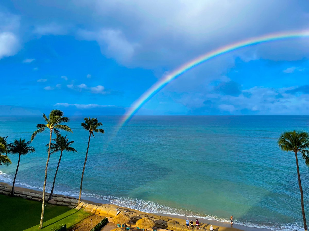 kaylecantrell's tweet photo. 🌈🌴 https://t.co/w1RaEquCkZ