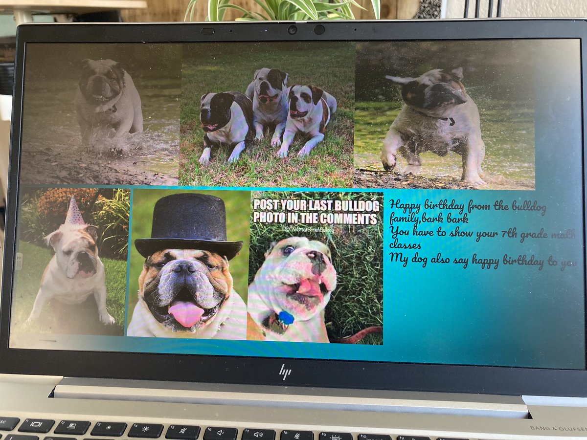 emily_hitzemann's tweet photo. When a student from a previous year remembers my birthday and my love of dogs, this happens 🥰🎉 https://t.co/XvxWeqHybt