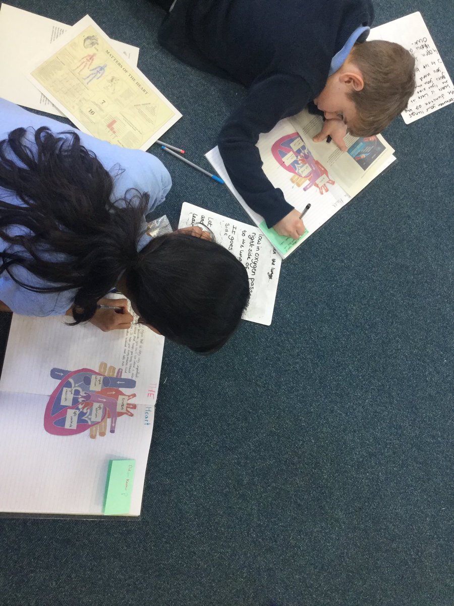 STC_1CF's tweet photo. Getting creative with our science project work all about the heart https://t.co/AZqHCI58SM