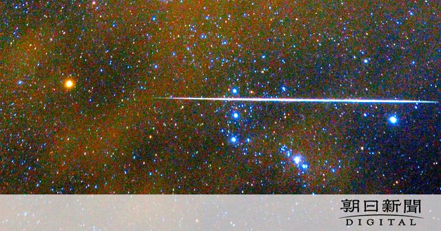 Moe Rt用 のえるさんとぽぽとごろー Momohuto2 Twitter