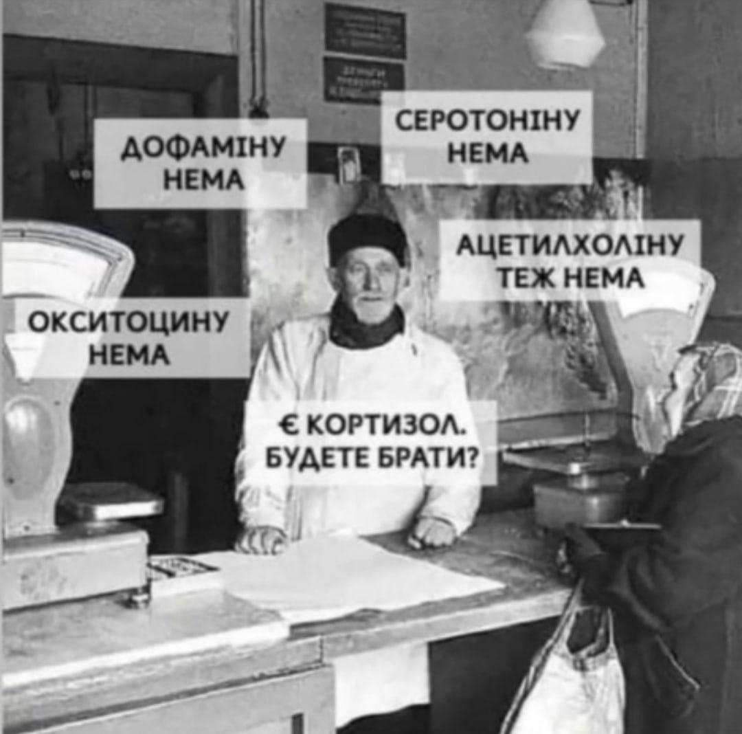 Олександр хоче помсти (@despiteallthat) on Twitter photo 