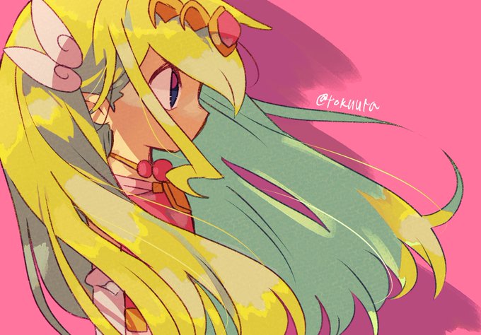 ゼルダ姫 