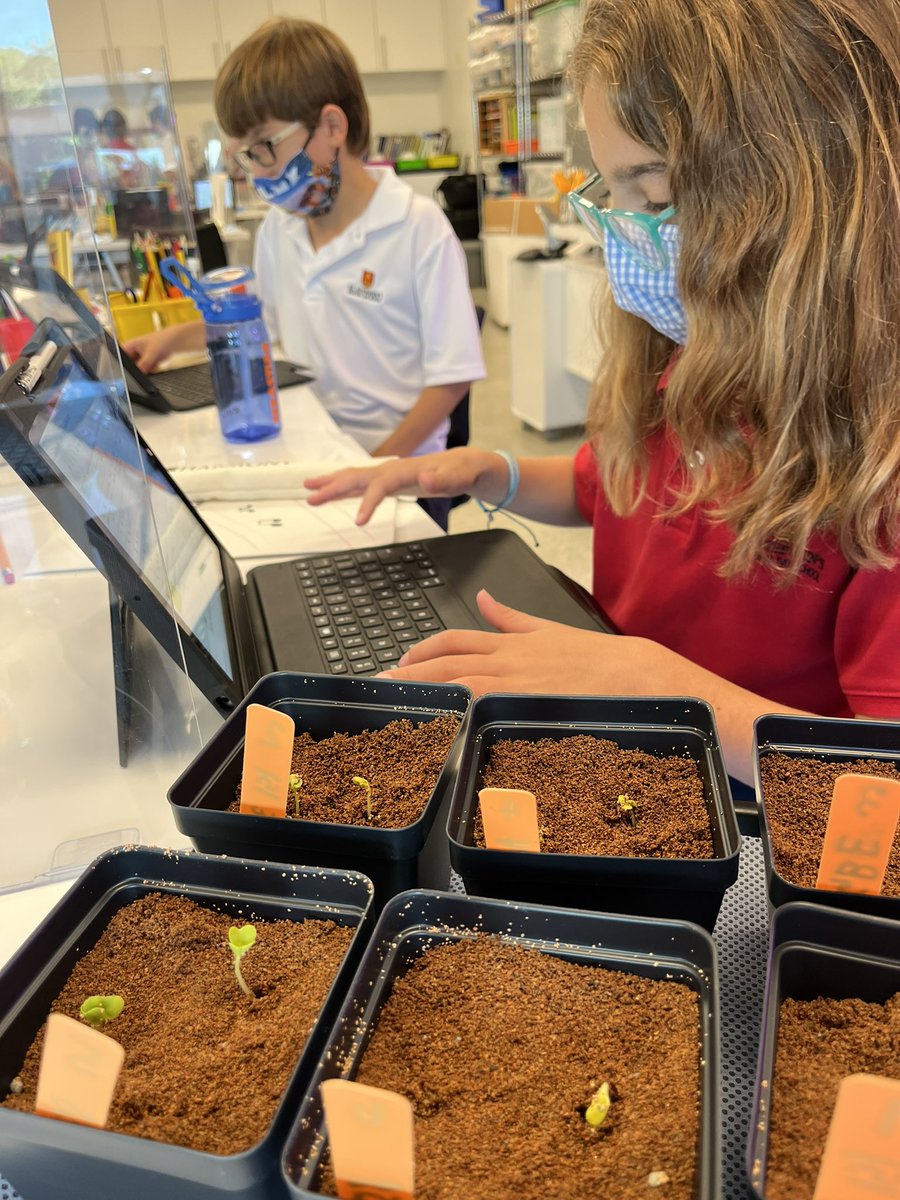 ValeriaTeaches's tweet photo. Day 4
Tracking our data on @googlesheets provided by @GrowBeyondEarth
#authenticresearch #numbersmatter #makingobservations @getMARSfarm #girlsinstem #visualvocabulary @SSEDSorg https://t.co/BJSUKTX8af