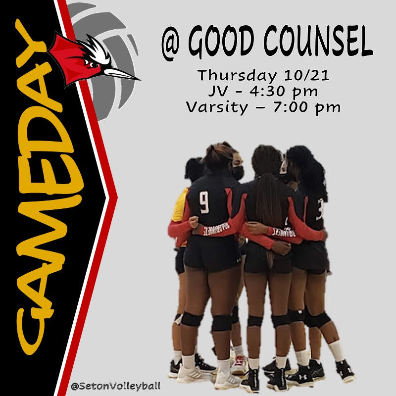 Elizabeth Seton HS Volleyball tweet media