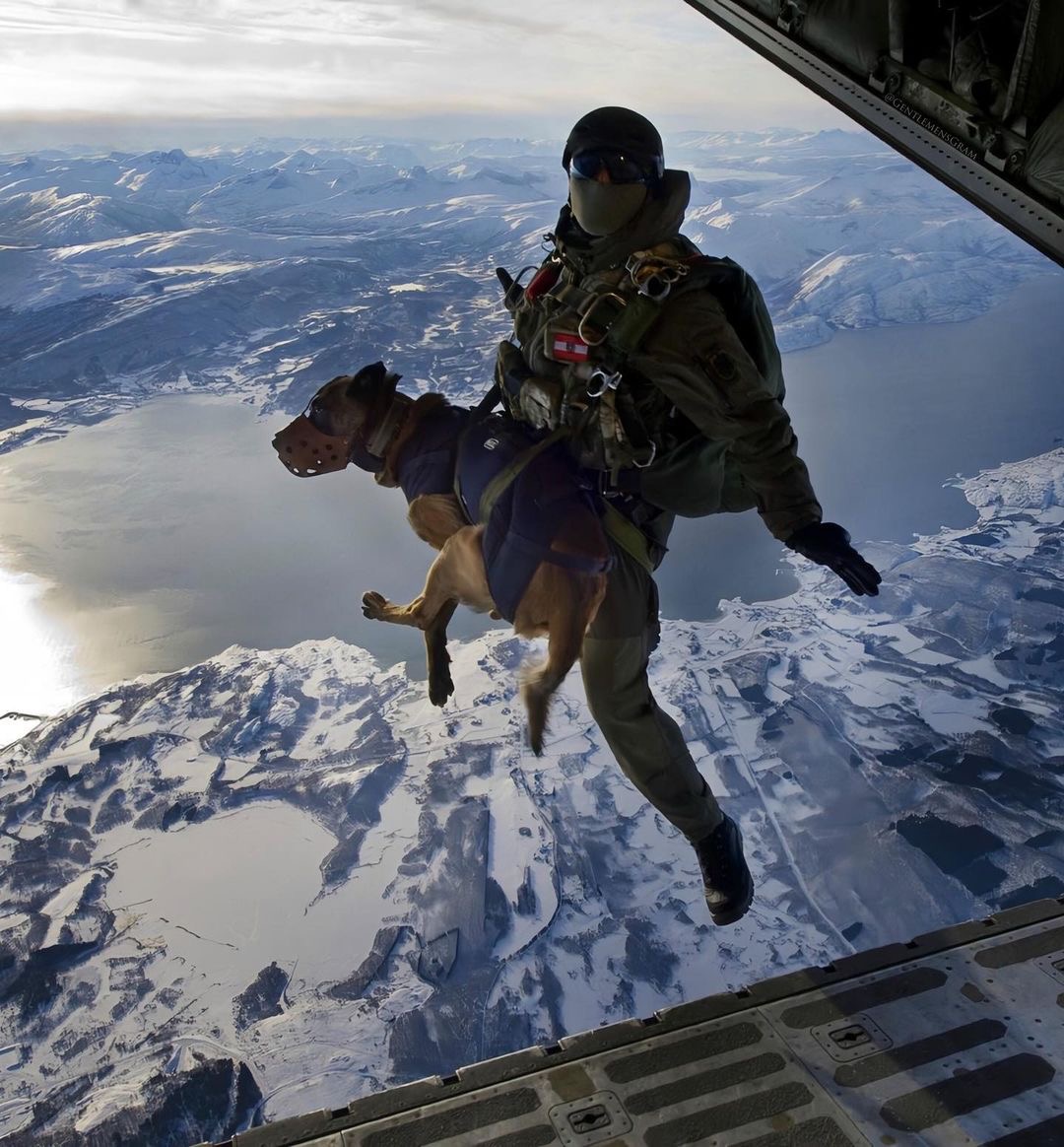 rhgents's tweet photo. Trust yourself to fly! This is Austrian, Jagdkommando dropping in from 10,000ft high in the sky with a dog specializing in sniffing out explosives. #gentlemanstyle https://t.co/YI3EXFomaL