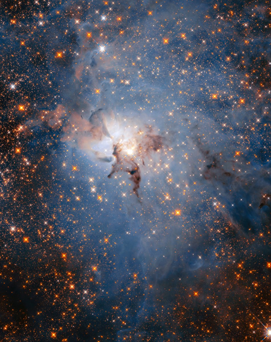 Space360HQ's tweet photo. Launching soon, @NASAWebb (the biggest and most powerful space telescope ever ICYMI) will reveal the universe as never, ever seen before. So... what do you think we’ll discover when we #UnfoldTheUniverse? Show us what you believe the Webb telescope will see by creating art. 1/2⬇️ https://t.co/G92ZkX6ek4