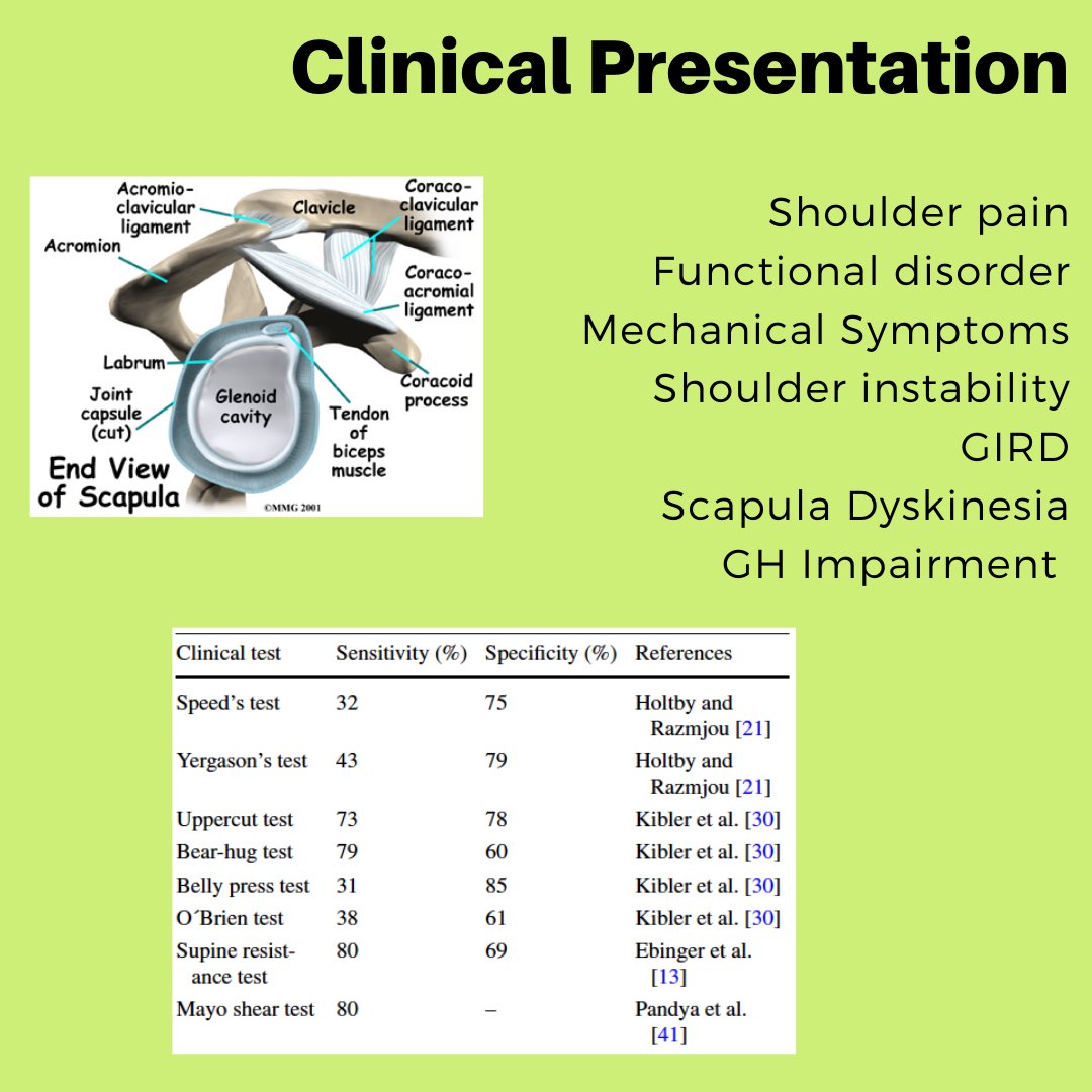 BU Athletic Training Residency tweet media
