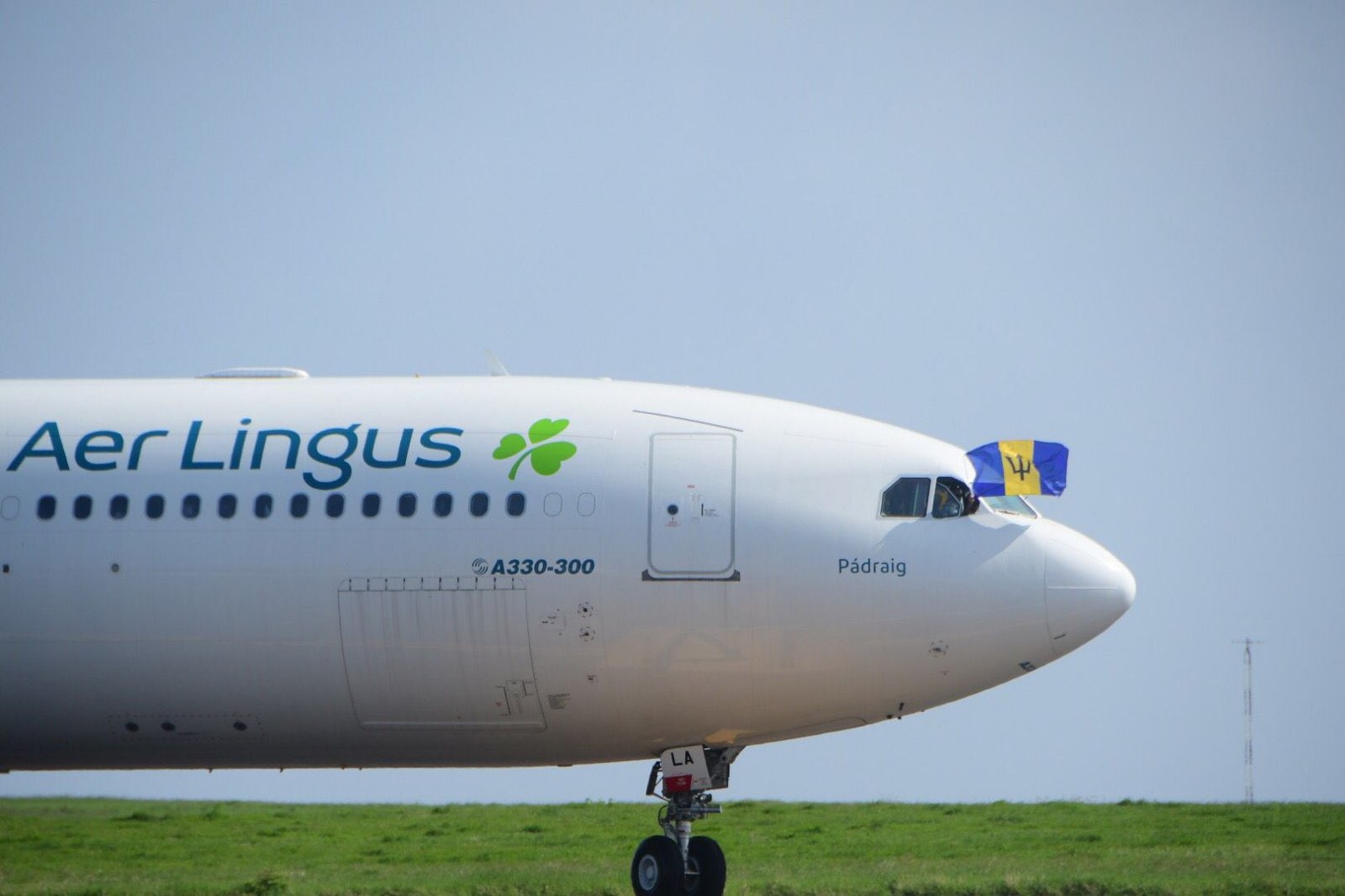 Aer Lingus-FERGUS l'ours Aer Lingus-FERGUS l'ours