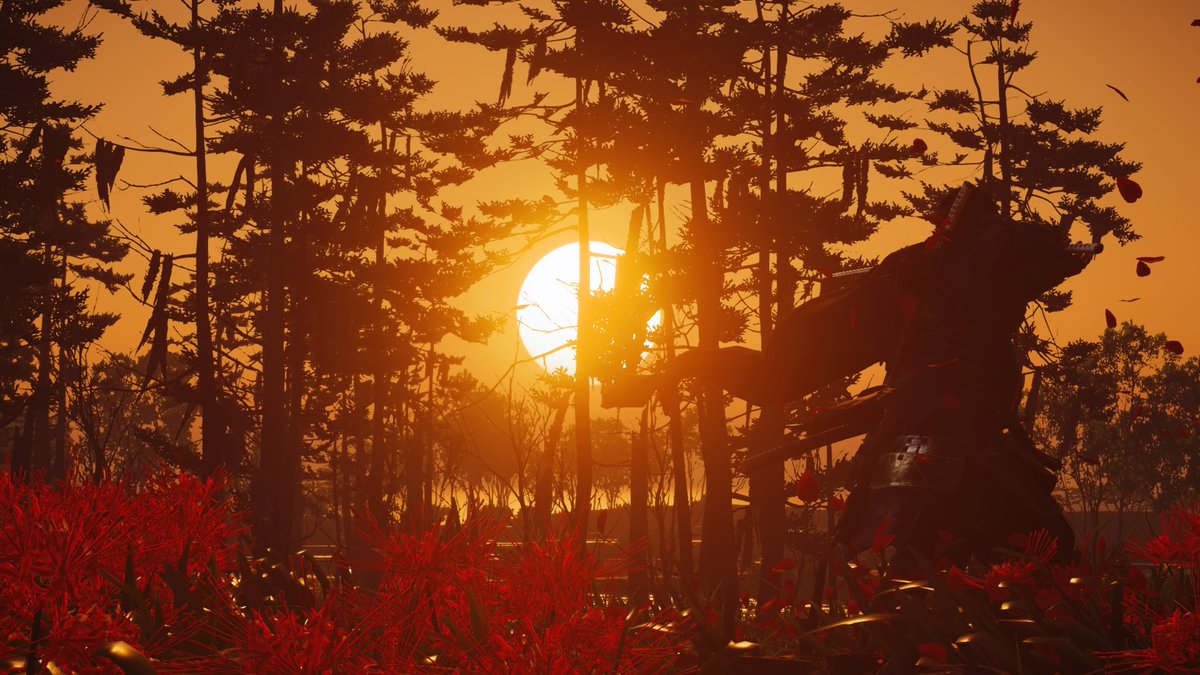 23RL23's tweet photo. Ghost of Tsushima ⛩️🍂 @SuckerPunchProd #GhostofTsushima #PS4share #VGPUnite #VirtualPhotography #GamerGram https://t.co/vVSvM6SanM