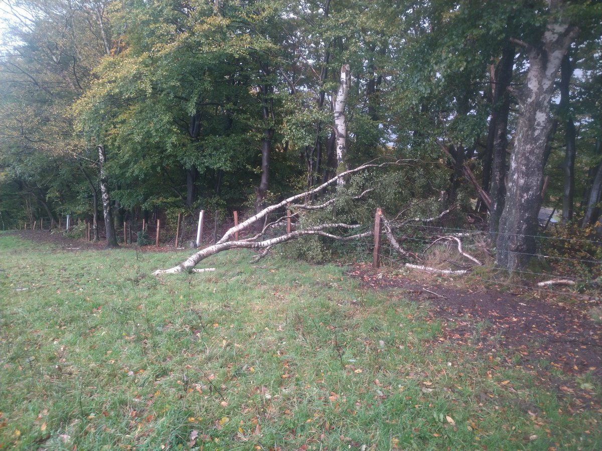 Kempersbuur tweet media