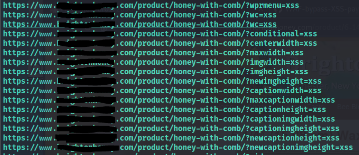 0xJin's tweet image. Find hidden params in javascript files
assetfinder *.com | gau | egrep -v &apos;(.css|.svg)&apos; | while read url; do vars=$(curl -s $url | grep -Eo &quot;var [a-zA-Z0-9]+&quot; | sed -e &apos;s,&apos;var&apos;,&apos;&quot;$url&quot;?&apos;,g&apos; -e &apos;s/ //g&apos; | grep -v &apos;.js&apos; | sed &apos;s/.*/&amp;amp;=xss/g&apos;); echo -e &quot;\e[1;33m$url\n\e[1;32m$vars&quot;