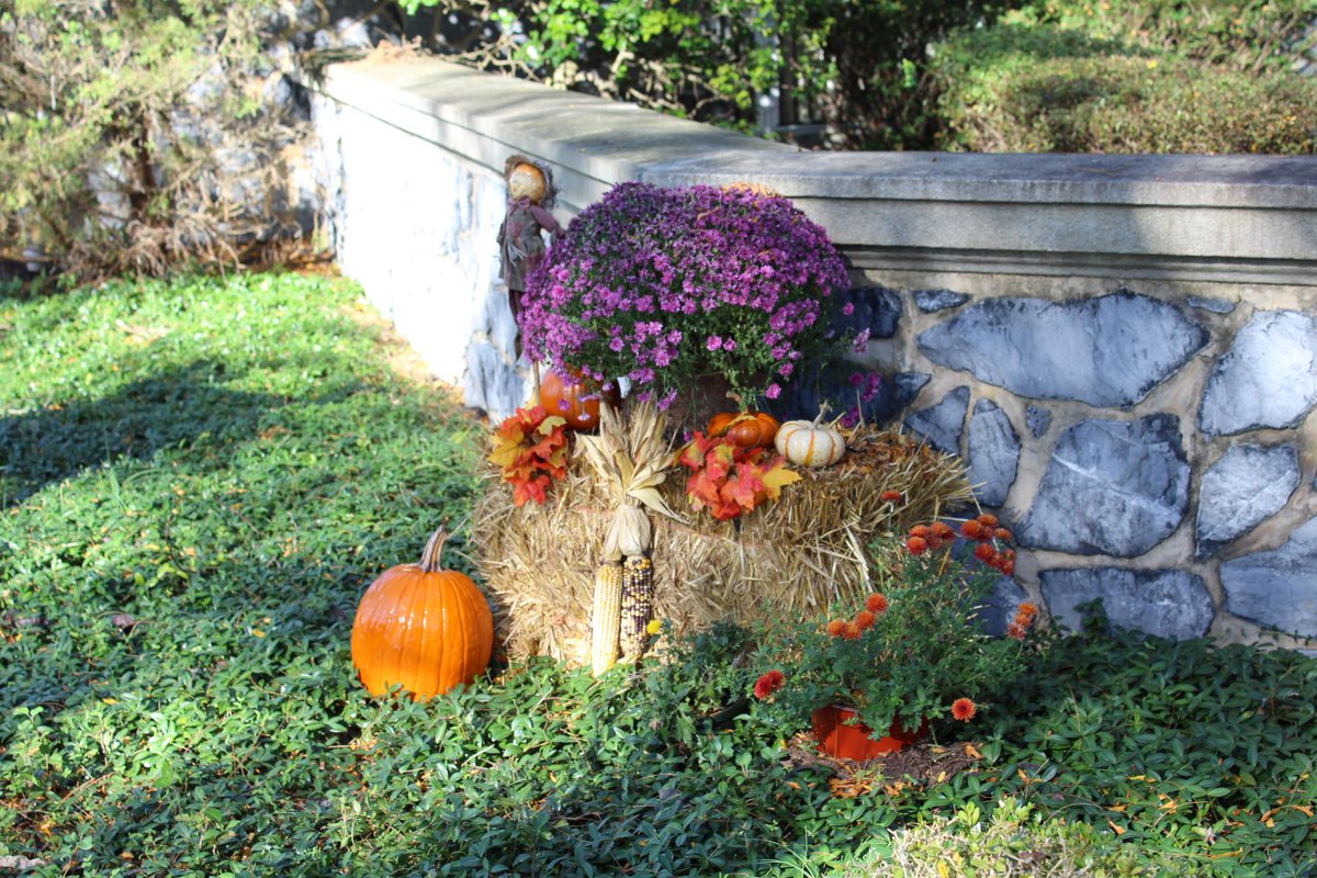 Fall decorations on Widener Law Commonwealth campus 