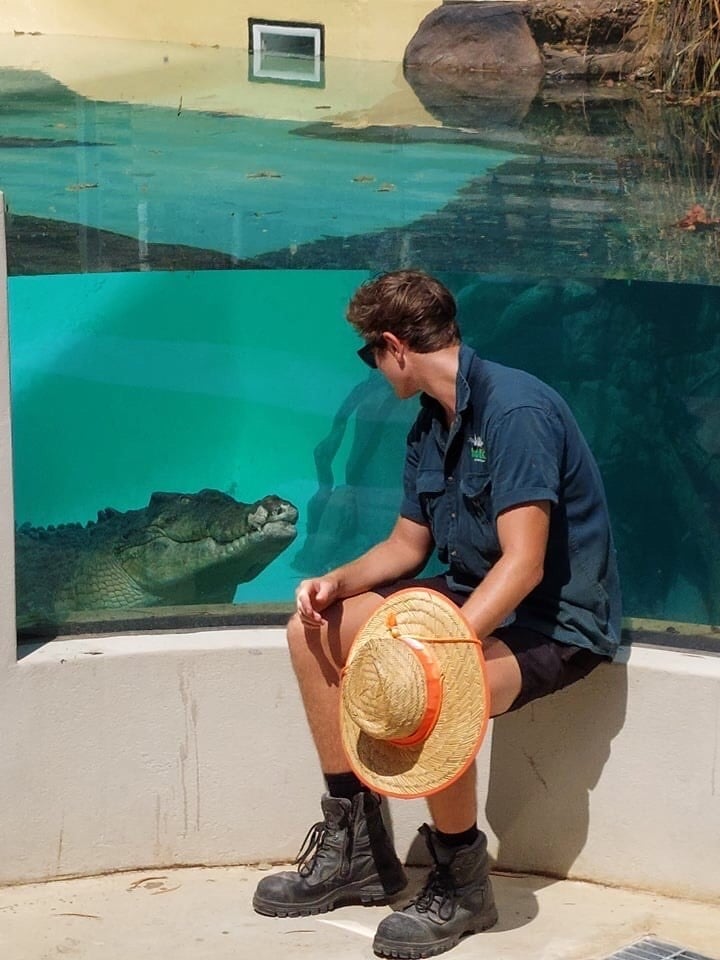 ちなみにプログラムに参加しなくても、普通に園に訪れてもこんな感じで🐊ワニくんの観察もできます！☺🐊これもワニだと滅多にない展示方法ですよね❤🐨📷＠habitatwildlife <a href="/Go_Australia/">オーストラリア政府観光局</a>
