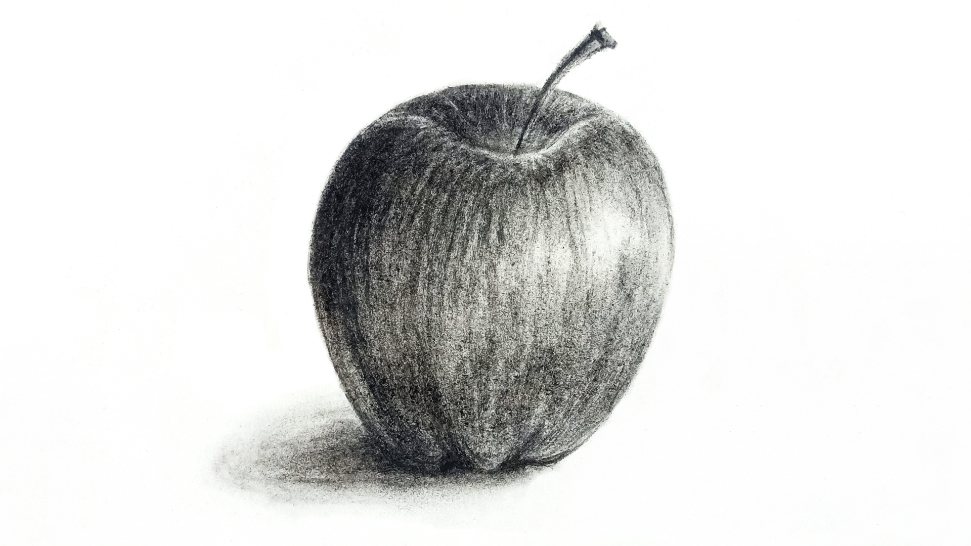 Free: Monotone apple illustration sketch style | Free transparent png -  2336909 - nohat.cc